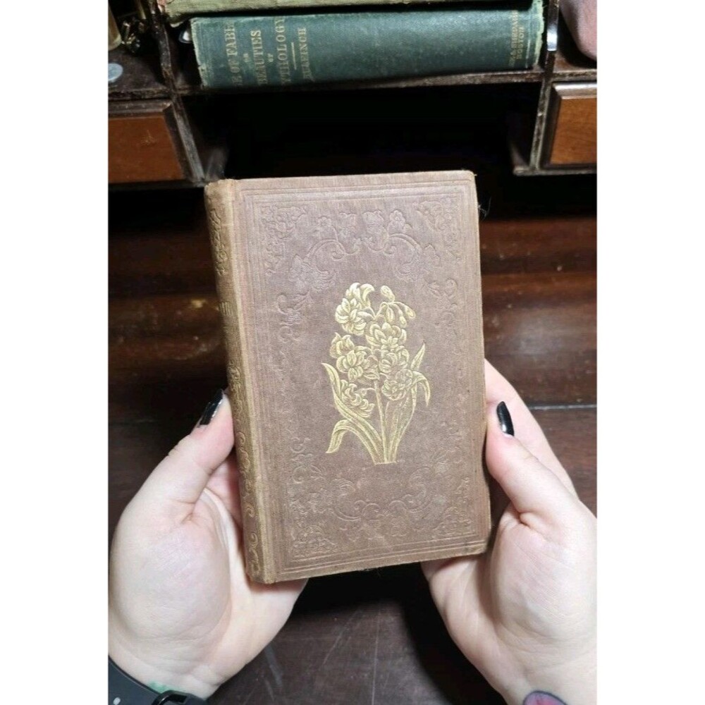 The Hyacinth Or "Affections Gift" From 1850